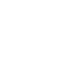 light logo